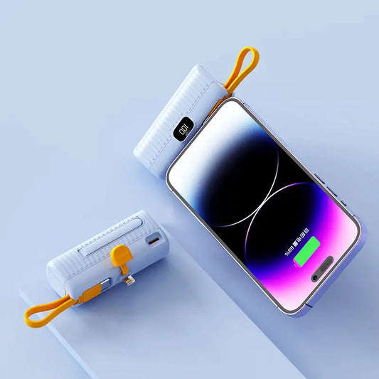 Portable charger