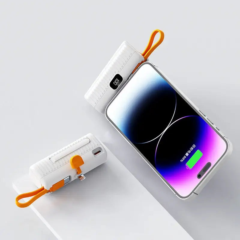 Portable charger